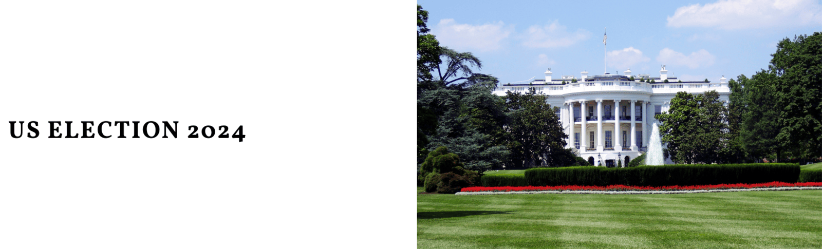 Asset Intelligence Comment: US Election 2024